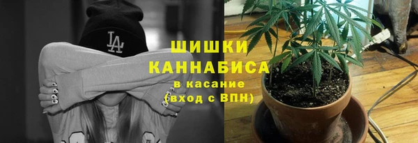 мет Корсаков