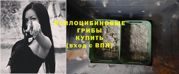 трава Краснослободск
