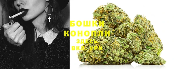 мет Корсаков