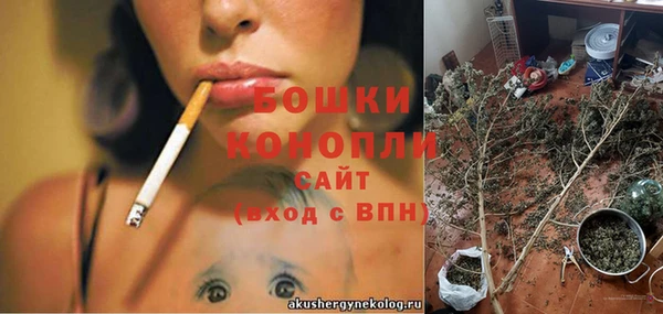 мет Корсаков