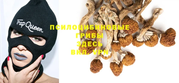 мет Корсаков