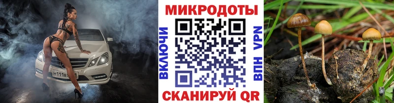 Купить где  Питкяранта  Галлюциногенные грибы Magic Shrooms 